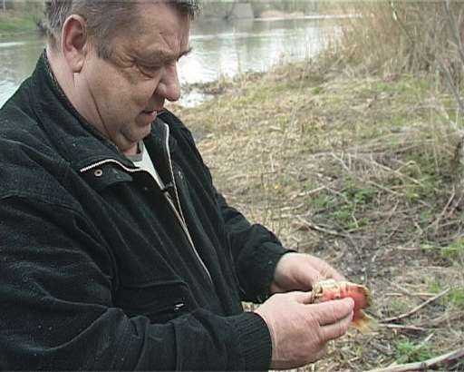 Чудо — юдо рыба — кит в Оке