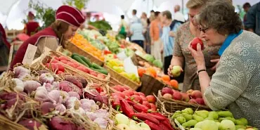 В Орле появится «Гастропаркинг «Орловский»