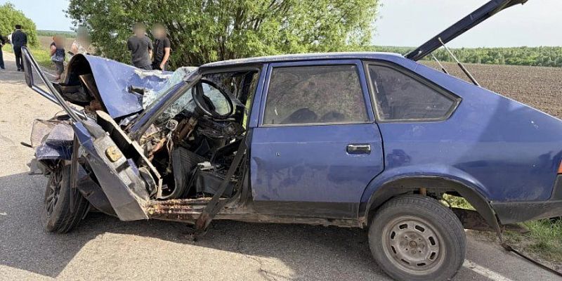 Три человека погибли в ДТП с грузовиком в Корсаковском районе