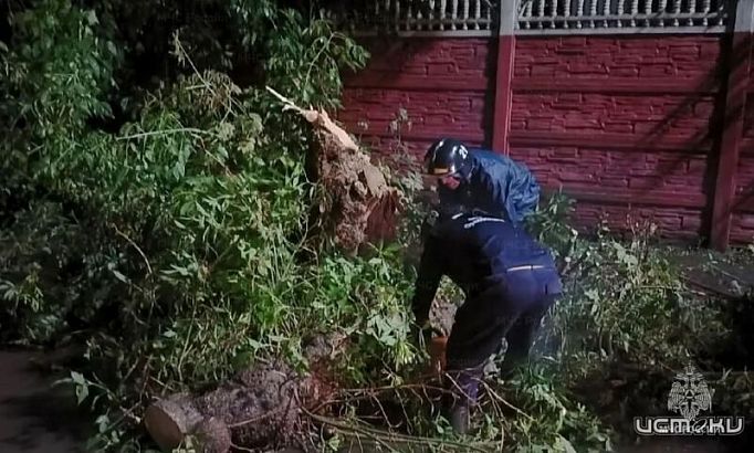 Холодный фронт ударил по Орловщине: 9 упавших деревьев, сбои в электроснабжении и работа аварийных бригад