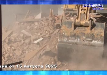 Сотрудники ГАИ спасли израненного пса. ЭКПРЕСС - НОВОСТИ