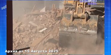 Сотрудники ГАИ спасли израненного пса. ЭКПРЕСС - НОВОСТИ