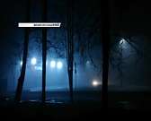 Три дня во мгле: кого-то из орловчан туман вдохновил, а для кого-то стал проблемой