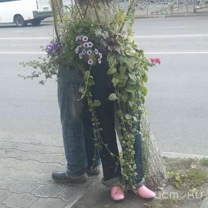 Беспощадный креатив: в Орле владелец магазина привлек внимание нестандартным способом