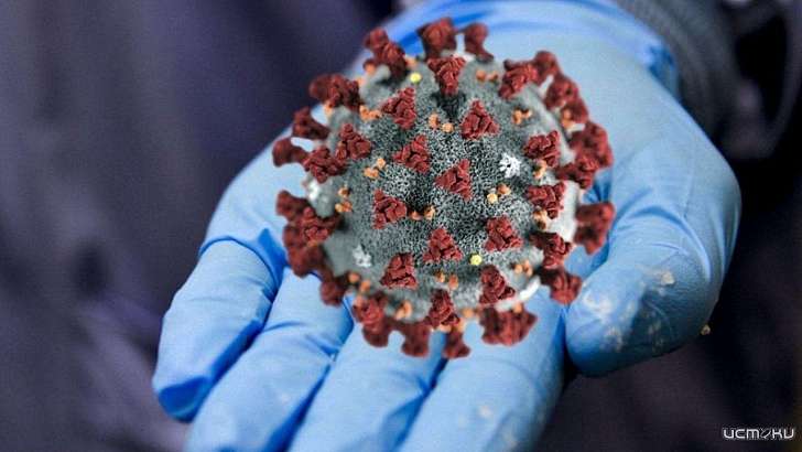 За сутки в Орловской области коронавирусом заразились еще 145 человек