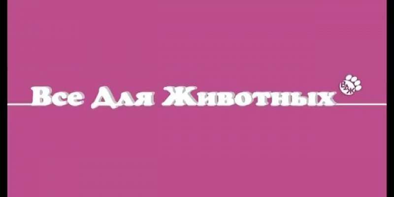 «Фармина»: cпрашивайте в магазинах «Все для животных»!