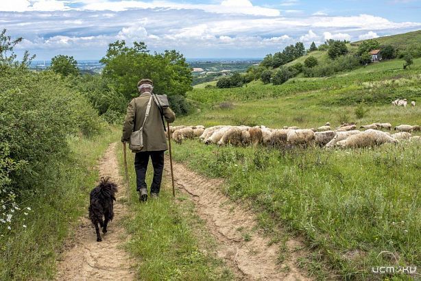 Орловского предпринимателя наказали за работника-иностранца без патента