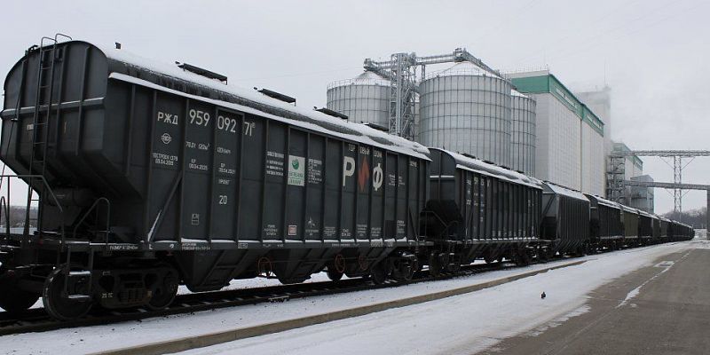 Погрузка зерна на Московской железной дороге выросла на 3,6% за 11 месяцев 2024 года