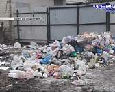 Мини-апокалипсис в Орле: из-за смены перевозчика Заводской район обрастает кучами мусора