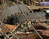 «Мусорный» круговорот: время идет, а проблема вывоза отходов в Орле по-прежнему актуальна