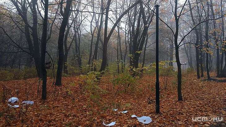 В Орле вандалы нанесли ущерб парку Ботаника на более 220 тыс. рублей