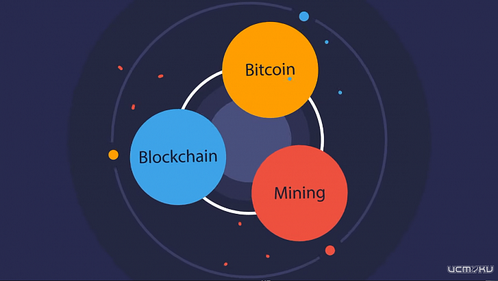 Опасности, таящиеся в мире криптовалют - советы новичкам