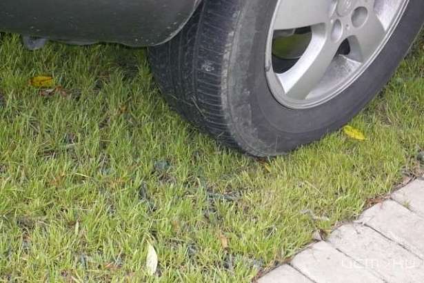 В Орловской области за парковку машин на газонах, возможно, начнут штрафовать