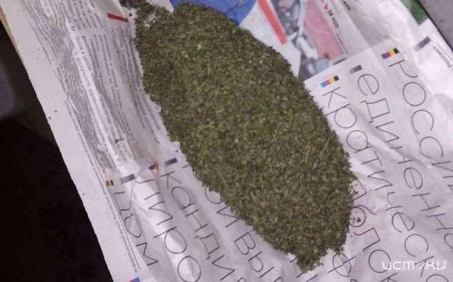 Орловчанина поймали с выращиванием наркотического растения у себя дома