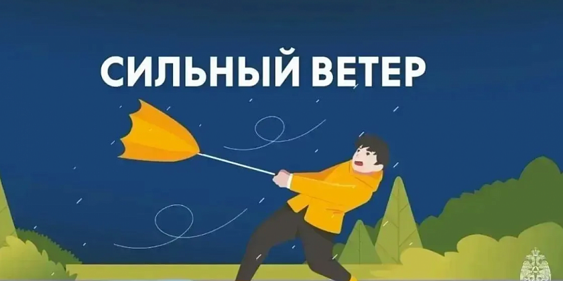 Орловское МЧС экстренно предупреждает о сильном ветре