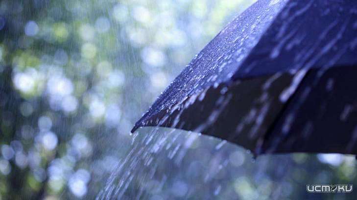 Прохладная погода и дождь ждет орловчан сегодня