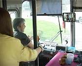 Плохая разметка все чаще становится причиной ДТП