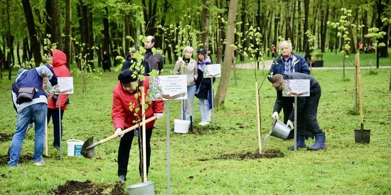 «Сад Памяти» парк Победы Орловская область вновь присоединится к Международной акции «Сад Памяти»
