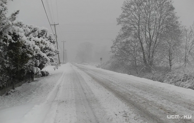 В первую неделю весны орловчан ждут снег и морозы