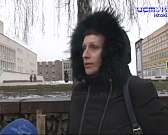 Денег нет, и дальше слов дело не идет: орловчане просят оградить их от стай бездомных собак