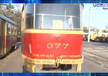 Собаки чувствуют себя хозяевами в орловских дворах Собаки чувствуют себя хозяевами в орловских дворах
