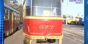 Собаки чувствуют себя хозяевами в орловских дворах