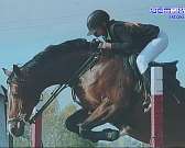 Узнать все о конном спорте через объектив: в Орле открылась выставка педагога фотоцентра «Ракурс»