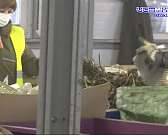 Всё хорошо, прекрасная маркиза!