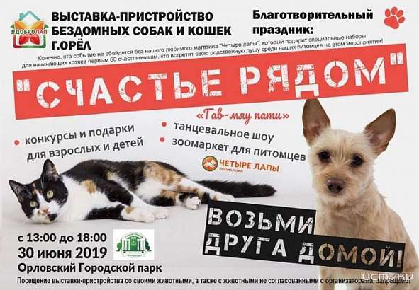 «Счастье рядом!»: в Орле четвероногим бездомышам помогут обрести семью