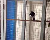 Новости за 90 секунд: городская администрация поручилась за долги трамвайно-троллейбусного предприятия, часть Северного района перекрыли из-за соревно...