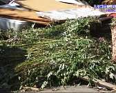 Дворы утопают в мусоре. К нам в редакцию за помощью обратились жители Орла с просьбой разобраться, кто отвечает за вывоз мусора и почему они бездейств...