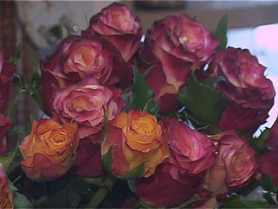 Выбираем цветок для Дня святого Валентина