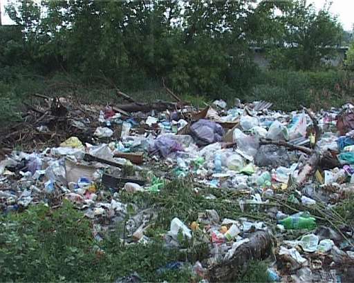 Мусорный коллапс в Хвойном переулке