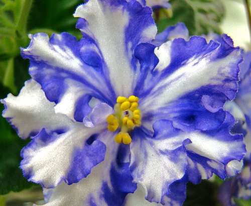 Зарядись позитивной энергетикой в.... библиотеке!