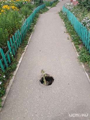 В Орле в асфальте появились «таинственные дыры»