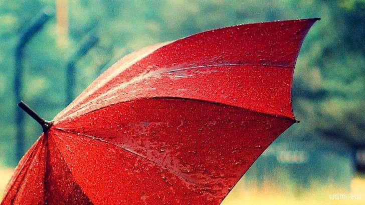 Небольшой дождь и хмурое небо ждут орловчан в конце рабочей недели