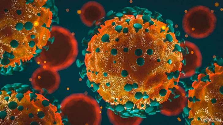 Очаги COVID-19 остаются в двух орловских больницах и доме-интернате