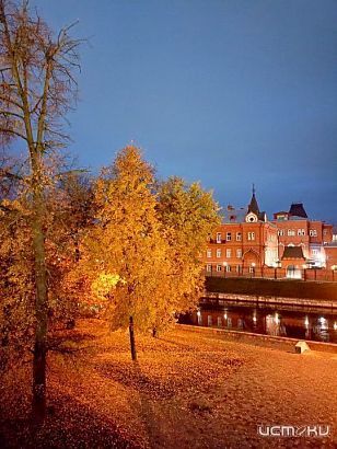 Осенние фотографии принесли орловчанину победу в нашем конкурсе «Народный корреспондент»