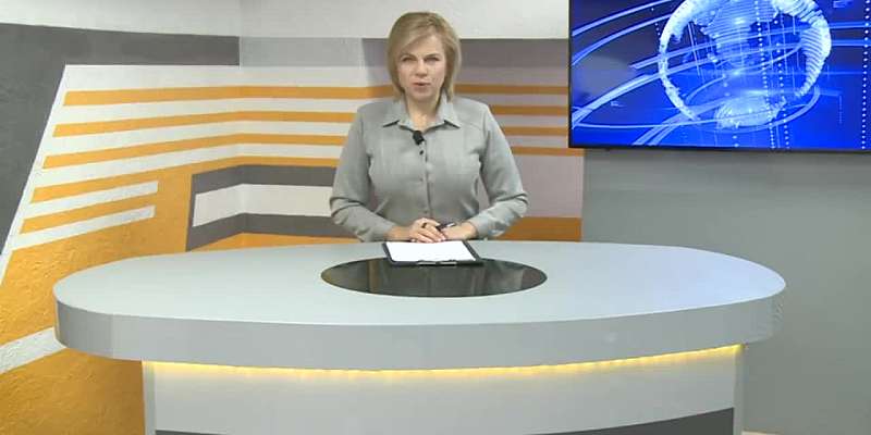«Похитители книг» – после вечерних новостей