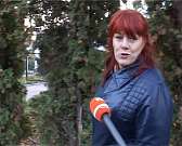 Международный день красоты