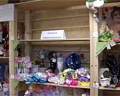 Кирпутори по - орловски. Удивительный магазин-барахолка "Твоя Полка"