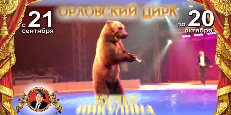 Легендарный цирк Юрия Никулина в Орле!