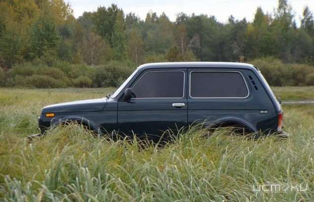 Под Орлом на глазах у дачника угнали «Ниву»