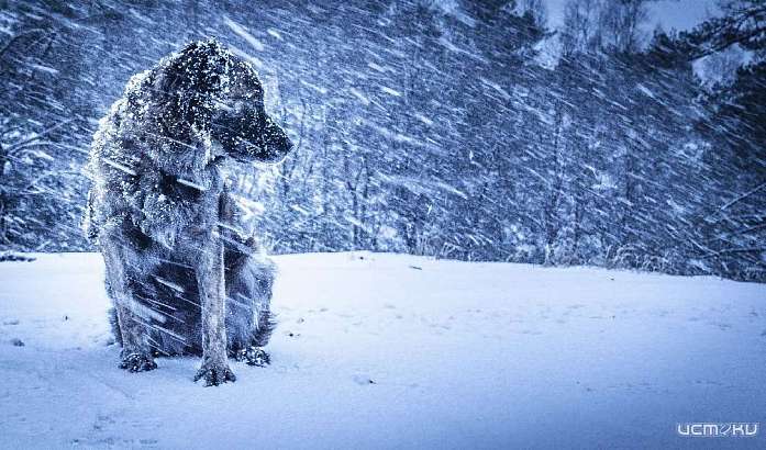 В ближайшие сутки на Орловщине снова будет бушевать непогода
