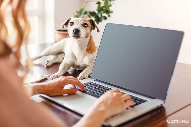 Домашний гигабитный интернет МТС стал доступен жителям «Зеленого квартала»