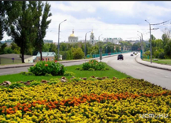 К 9 мая в Орле высадят 120 тыс. цветов