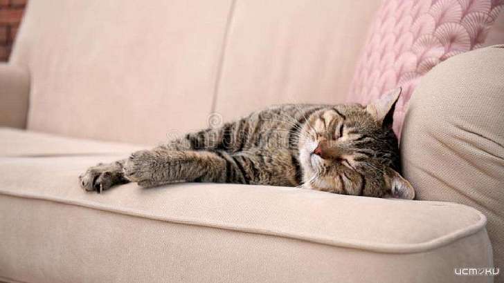 Орловчан призывают в субботу и воскресенье не ходить в гости