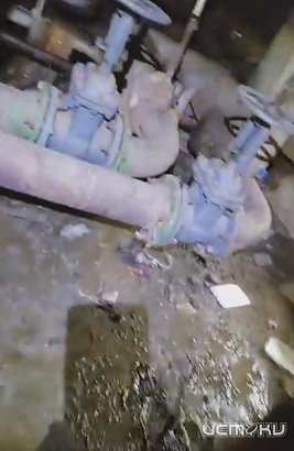 "Стояки забитые,воняет тошнотворным запахом, весь подвал залит го**ом..."