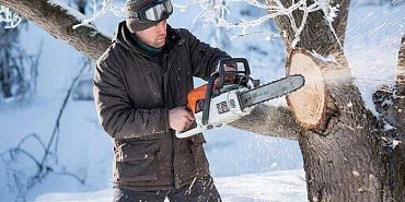 В Новосильском районе полицейские раскрыли незаконную рубку лесных насаждений