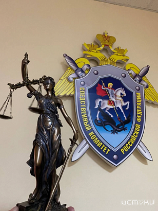 Житель Глазуновского района области осужден за убийство сожительницы 